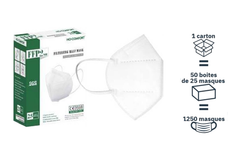 Carton de 1250 masques de protection FF2